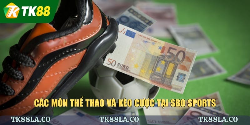 Các môn thể thao và kèo cược tại Sbo Sports