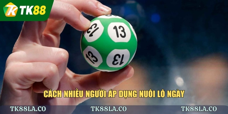 Cách nhiều người áp dụng nuôi lô ngày