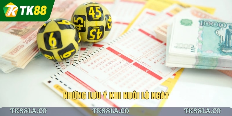 Những lưu ý khi nuôi lô ngày