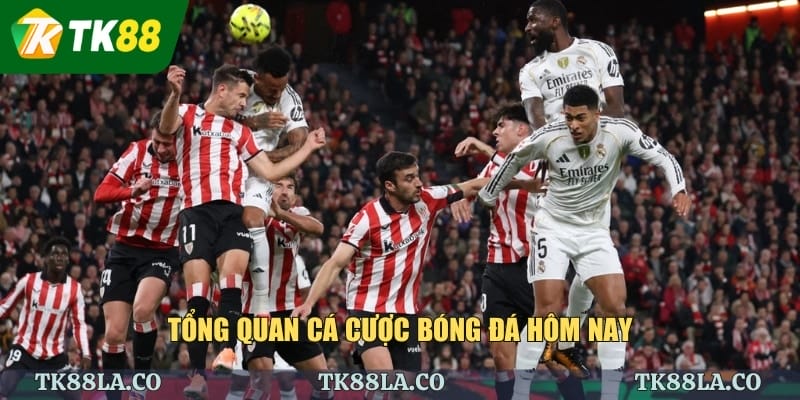 Tổng quan cá cược bóng đá hôm nay