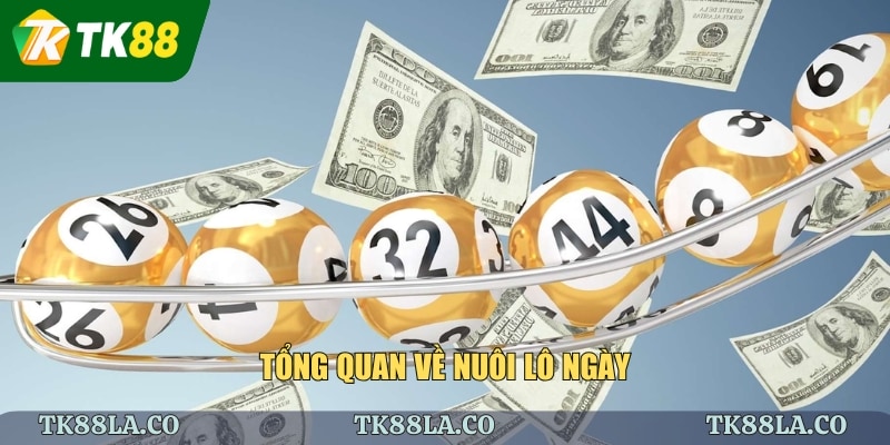 Tổng quan về nuôi lô ngày